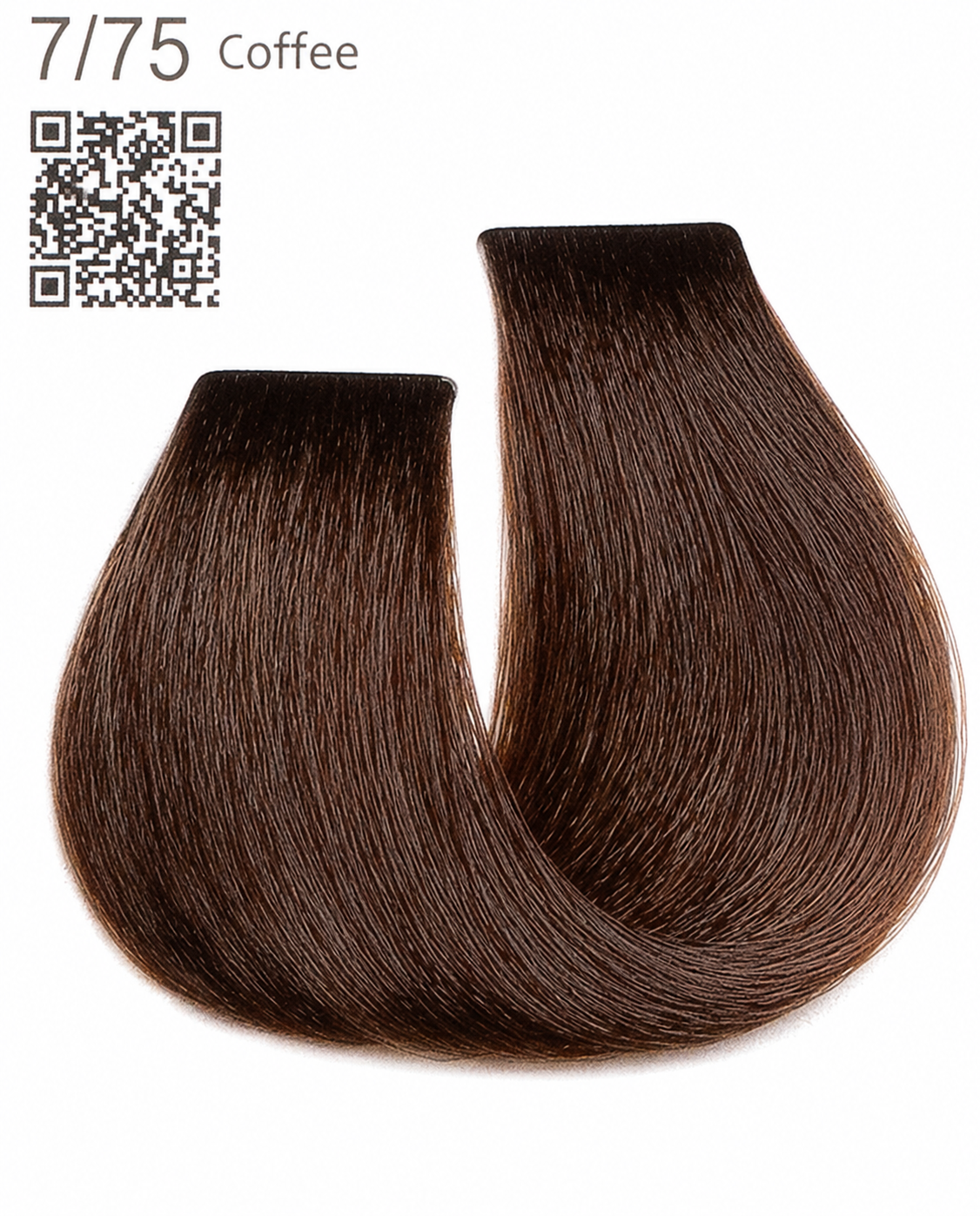 Color Cream — 54 Vibrant Shades Coffee Series Coffee Color Palette