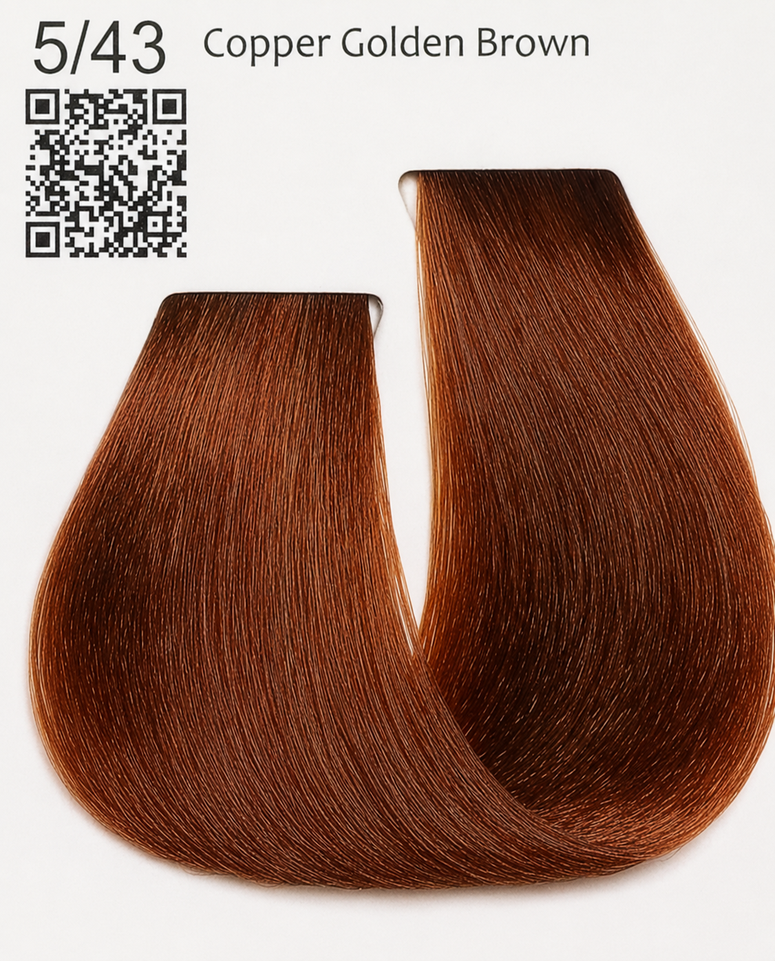 Color Cream — 54 Vibrant Shades Gold Brown Series Copper Gold Brown