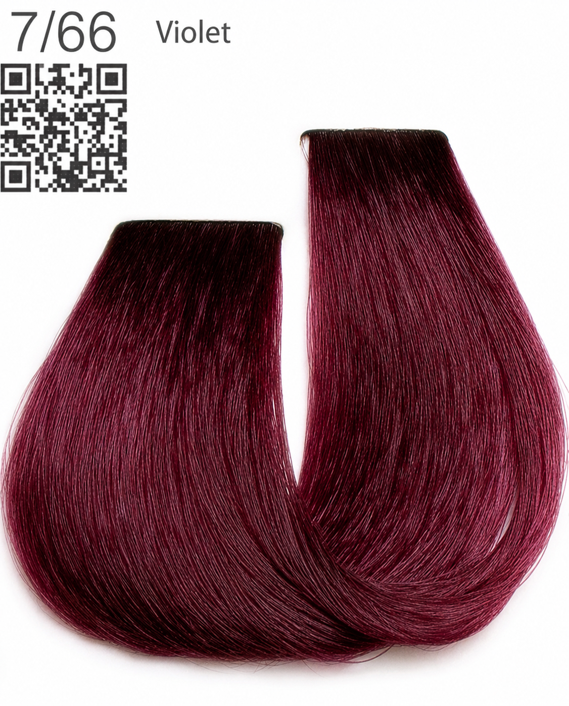 Color Cream — 54 Vibrant Shades Violet Series Violet